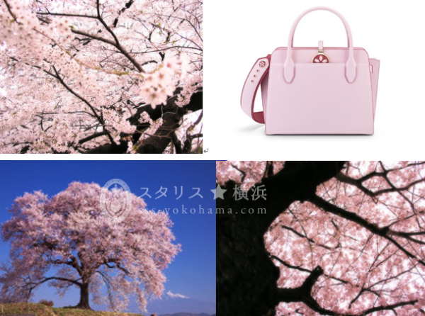 ブルガリの「ブルガリ・ブルガリ アルバ バッグ」より日本限定 桜カラーのバッグが登場 2018 年 3 月、この度ブルガリが初めて四季をモチーフに手掛けた日本限定モデルのバッグが、優美な桜カラーで登 場します。 今やSAKURAとして、春の訪れを告げる美しい花が世界中の人々に愛されるようになった日本を象徴する樹木である 桜。四季をモチーフに、初めてブルガリが限定モデルを作り上げたインスピレーションが日本の桜であることは、ブルガ リのクリエーションがローマの街並みや建築物、美しい憧憬や自然だけではなく、かつて日本の美にインスパイア をうけたジュエリーの作り手であることを物語っています。 富と輝きを表現する刻印が施された古代ローマ帝国のコインをモチーフとしたペンダントをあしらった、実用的かつ エレガンスさも併せ持つ「ブルガリ・ブルガリ アルバ バッグ」コレクションから今春発売される日本限定のバッグには、 アイコニックなペンダントに上品な桜のモチーフが施され、またワイドなオリジナルショルダーストラップにも桜のオーナ メントが繊細にあしらわれたやさしい印象のデザインが魅力です。 桜の花言葉は「精神の美」 、「優雅な女性」。ブルガリが日本女性へ贈る特別な桜