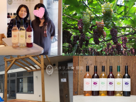 ワイン生産量日本一の神奈川県。でもその県庁所在地の横浜にはワイナリーはありませんでした。ビール会社は複数あるのにワイン会社はゼロ。 ゼロならばイチになればいい。都会の消費者に「食のものづくり」を身近に知ってもらう場所をつくりたい。この希望が合致し、横浜でのワイナリー設立に踏み出しました。 ただワインをつくって売るだけではない、生産者と消費者が出会い、食のものづくりが語り合える場所。地球環境のことも考える。そんなワイナリーに育てるためにわたしだけでは力不足。皆さまのご支援が必要なのです。 未来へつなげたい。横濱ワイナリーは生産者と消費者をつなげるワイナリーです。 はじめまして 横濱ワイナリー代表の町田佳子です。 金融機関勤務を経て国際環境NGOに転職、その後、2016年にワイナリーを立ち上げるために会社を設立しました。約1年間の免許認可申請期間を経て2017年11月に横浜でワイン醸造をはじめました。 横浜出身で能登でハイディワイナリーを経営する高作正樹氏と出会ったことから、醸造の指導を受け、また東京のワイナリーでも醸造の手伝いをし、経験を積んできました。 日本で一番小さい、一番海に近いワイナリー 横浜の観光地、山下公園や港の見える丘公園のすぐそばにワイナリーはあります。少し歩けば、元町や中華街など横浜の観光スポットがたくさん！都市型ワイナリーです。 これだけのスペースで醸造しています。裏手の窓の向こうは横浜港です。 おそらく、日本で一番小さいワイナリー。そして、おそらく、一番海に近いワイナリーです。 葡萄のチカラを信じる。それが、自然派のハマワイン。 横浜の人たちは横浜を愛称を込めて「ハマ」と呼びます。横濱ワイナリーのワインもそれにあやかって「ハマワイン」と命名しました。蛇口のついたワイン樽に海を翔ぶカモメをあしらったシンプルなロゴをつくりました。 今はブドウ園を所有していません。日本全国から買い付けたブドウを使用しています。 ブドウにもこだわります。できるだけ人や大地に負荷をかけない栽培をしているものを選んでいます。農薬や化学肥料はできるだけ抑え、ブドウに愛情を持って育ててくれる生産者から仕入れます。現地に足を運び、ブドウのつくり手と話すことを大切にしています。 従来のヨーロッパのワイン品種ではなく、日本に古くから自生してきたヤマブドウ系や既に日本の土壌に根付いているブドウを中心に使ってワインをつくります。 目指すは真の地産地消ワイン。残念ながら、横浜はおろか神奈川県内でも醸造用のブドウはほとんど作られていません。今は他県から購入するしかない状況です。 アルコールは低め。補糖をしてアルコール度数を高めるのではなく、果実味をしっかりと出し、飲みやすい、優しい味が特徴です。これまでの赤ワインは肉、白ワインは魚にといった既成概念にとらわれず、和食にも自由にあわせられる、食事に寄り添うワインです。 だれもが参加できる都市型ワイナリーです。醸造作業は、SNSで呼びかけてみなさんに参加していただいています。 Facebookグループ「横濱ワイナリー物語」に登録いただくと、醸造・栽培体験、イベント情報等を入手できます。 Facebookグループ「横濱ワイナリー物語」　　↓どなたでも参加できます。 一人参加の方も多く、醸造作業で友達の輪も広がります。 他県のワイナリーに出かけてもなかなか体験できない醸造作業がご近所感覚で体験できます。 栽培作業、もちろん収穫作業も手伝いにいきます。 生産者と直接話すことができ、ブドウ栽培について知識を深めることができます。 ワインで環境問題を考えたくて、はじめました。 ワインと環境問題・・・なんだかつながりが壮大だなと思われるかもしれませんが、実は私たちの一人ひとりのライフスタイルが地球環境に大きく影響しているんです。私はNGOでの活動を通じて、それを強く実感してきました。 日本の食料自給率（カロリーベース）は38%。この半世紀で約半分に減っています。先進国では日本と同じ島国イギリスでも63%、お隣韓国でも43%。生産者もこの30年間で半減、農地面積も約2割減っています。目立っているのが生産者の高齢化。この30年で、農業従事者の内60歳以上の占める割合は倍増、農地面積に占める耕作放棄地の割合は約5倍に増えています。 将来日本は食料のほとんどを輸入に頼らなければならいない時代がやってくるかもしれません。耕作できる土地はたくさんあるのに。 でも、朗報もあります。就農に関心のある若者層が増えているのです。H28年度新規就農者調査では49歳以下の新規就農者が3年連続で2万人を超えています。この動向が続けば、日本の食料事情もかわるかもしれません。 耕作放棄されたブドウ畑 一方で、世界に目を向けるとこんな悪循環が起こっています。 人口は増加、食料不足。都市部では、自然の生態系を破壊して耕作地になります。すると野生生物との衝突が絶えず、野生生物の生息地も失われます。生態系バランスが壊れることで、自然災害が発生しやすくなり、耕作地の消失につながります。 どうでしょう？日本で起きていることと世界で起きていること、なにか矛盾しませんか？ 私たちは買い物をする時、棚に並んだ商品に書いてある説明で判断し、商品を購入するのが一般的です。農産物の加工品の場合、その原料がどのようにつくられているかはを私たちは意外と知らないものです。 ワインもそうです。ワインも果実の加工品です。ワインを選ぶ時、どういう状態でブドウが栽培されているかまで知ることは難しいのが現状です。生産者がどのような思いでブドウを栽培しているか、それがどのように醸造されてワインになるかという「食のものづくり」の現場を知ってほしい。それをきっかけに、日本の農業が抱える問題、食の問題、そして輸入に頼る日本のその先にある世界の食の問題に関心をもってほしい。それが私の思いです。 横浜のブドウでワインをつくって、食のものづくりについて語り合う場所をつくりたい。 ワイン造りは実現しました。これから、いろいろなテイストのワインをつくり続けていきます。 次のステップは、「語り合う場所」づくりです。 タイミングよく、ワイナリーの隣の物件を借りることができました。別場所に借りていた小さな倉庫を隣に移すと同時に、残りの空間を、その「語り合う場所」にしたいです。 借りた当時のスケルトン状態の物件 飲む、食べる、語る！　新しい物語を紡ぐ場所ができます。 空間の名前は「.blue」（ポイントブルーと読みます） 小さな空間ですが、美味しいワインをテイスティングしたり、購入したり、食べ物とあわせたりする場所ができます。 ワイナリー主催のイベントも開催します。 みなさんがセミナーやイベント、習い事のお教室が開催できるよう、キッチン付きレンタル空間の場所になります。 横浜のこの地区には少ない、農産物の直売所にもなります。マルシェも開催します。 ブドウがどうやって育つか、どんな花がつくかを知ってもらいたくて、外にはブドウ棚の付いたウッドデッキをつくりました。ブドウの樹を眺めながら、愛犬も一緒にワインとお食事を楽しめます。 いろいろな人がここで出会って、新しい物語を紡いでいける場所。「食のものづくり」を体験して、語って、楽しんでもらう場所をつくります。 「.blue」の外観。ブドウ棚もつくりました。ウッドデッキも活用できます。 「.blue」の内部。壁はこのまま、照明器具も看板もまだありません。 一緒に、新しい物語を紡いでください。 空間はまだ未完成です。壁がまだ下地のままだったり、照明がたりなかったり、看板もなかったり、ウッドデッキも素の材木のままだったり、椅子もテーブルもなし、と。最低でもあと60万円あると、なんとか利用できるようにこれらを完成することができます。最後のワンアクションに、皆さまのご支援が必要です。 皆さまからクラウドファンディングを通してご支援頂いた資金は、50％をそれぞれ皆さまに「ハマワイン」「ワイナリーで使える商品券」などの商品でお返しいたします。（商品の内容については、ご支援のお礼の欄をご参照下さい。） そしてその商品の収益分と、送料・クラウドファンドサイト手数料を引いた残額は、オープンする「空間」でお客さまが実際にお使いになるもの、目に触れるものの購入に当てさせていただきたいと思います。 現在の醸造場もみんなで壁をぬりました。 その先にはまだ続きがあります。 2017ヴィンテージは、醸造免許が下りたのが11月。ブドウのシーズンは既に終わっていましたが、生産者の方に保管をしてもらっていました。２，３か月ねかしておいても問題なくワインができる、そんな良いブドウと出会えたことは幸運でした。最初の醸造年を思い返すと、慌ただしい過密スケジュールとの戦いで、本当の意味でのワイン造りと向き合う余裕がありませんでした。次の2018ヴィンテージは、いよいよ8月から始まります。前年よりも時間に余裕を持って、さらに美味しいワインをつくります。そして、スパークリングや他の果実を使ったワイン造りも計画しています。 さらに、原料も地元産のワインを造るのが、その先の夢です。数年後には、神奈川県産、横浜市産のブドウを使ったワインを造りができる目処がたってきました。 神奈川県内でも、後継者不足による耕作放棄地の問題は深刻です。農地の住宅地への転換が増えているため、山や森に棲む野生生物との接触も増加傾向にあります。人の手が放棄された農地は野生生物の絶好の餌場。耕作放棄地をきちんと手入れすることで人と野生生物との衝突を軽減することができます。耕作放棄地でワイン用ブドウの栽培が増えていけばと、今、関係者に働きかけています。 ご支援のお礼（特典） まずは、ワインを飲んでほしいです。 そして、語り合う場所である「.blue」を利用してほしいです。 最後に、「一緒にワイナリーを盛り上げたい！」という気持ちをこの空間に残してほしいです。 さらに、ワイナリーを一緒に完成させるためのDIYイベントや、完成した際の記念イベントを開催します！ ですので、特典はこの４つに対応するものにしました。組み合わせてご支援いただければ、夢の実現へ大きな力となります！ ◎特典その１　ハマワイン 商品には、横浜の地名にちなんだ名前をつけています。「馬車道」「みなとみらい」「山手」「元町」「本牧」「大さん橋」など。でもこの名前は今秋から使えなくなります。原産地呼称制度が開始されるからです。その地名でつくられたブドウをその場所で醸造していないとその場所の名前が使えないのです。 横浜に立ち上げたワイナリーなので、地域の名前を使っていきたいという願いは、このファーストヴィンテージ限りのものとなります。最初の年にして消えていくレアものになりそうな、2017シリーズをお送りします。 ◎特典その２　　お名前を空間「.blue」のどこかに残す権利 ご支援いただいた皆様のお名前を「.blue」空間のどこかに残します。 場所はおまかせいただきます。 ご自身のお名前を眺めに、ワイナリーへ来るのがきっと楽しくなります。 ◎特典その３　「.blue」が利用できる商品券 ワイナリーのお買い物券としてご利用いただけます。 皆様がイベントを開催する際の利用料としてご利用いただけます。 もちろん、ワイナリー主催のイベント参加費としてもご利用いただけます。 ◎特典その４　「ワイナリー完成記念イベント」ご招待券 最後の、あと一歩をみんなで完成させたいです。 壁塗りやテーブルや椅子づくりなど、DIYでつくっていきます。 完成した際には、完成記念イベントを開催します。 そちらへご招待します。 最後に、みなさんに伝えたいこと ワイン造りはゴールではなく、出発点です。 コミュニケーションツールとして、ハマワインが広がっていってほしい。 食について語り合える場として、「.blue（ポイントブルー）にみんなが集まってほしい。 「夢はあきらめなければかなう」と信じて、ここまで突き進んできました。 あと、完成までもう少し。 「みんな」がひとりでも多い「みんな」になってほしいです。 この小さな都会のワイナリーが、さらに変貌していく瞬間に、携わってみませんか？ みなさまのお力添えが、必ずその後押しになります。 新しい物語に、みなさまの足跡を残してください。 一緒に物語を紡いでください。 ご協力のほど何卒よろしくお願いいたします！！！ ＜町田佳子 プロフィール＞ 東京生まれ。横浜に移住して20年。ワインだけではなく、酒匠、日本酒学講師の資格を所持、日本酒にも精通。フランスのワインコンクールの審査員を務めるなどテイスティング経験の豊富さがワイン造りに役立っている。 高校時代1年間のカナダ留学でグローバルな経験が人生最初の岐路に。中高生時代、宇宙と生態学、地理に興味を持つ。大学では国際関係を先行し金融機関へ就職。その後、WWFジャパンで広報を担当、環境と食料問題についての啓発普及活動に従事。実際に食のものづくりに携わっていないことを広報することに疑問を感じ退職。在職中、日本各地の農林水産業の生産者と話すことが多く、その際はいつもお酒があったことから、酒類がコミュニケーションツールとして重要な役割を担っていると実感。個人で酒類販売免許を取得、日本酒とワインを販売に従事したが、どうしても商品をつくるものづくりに関わりたいと思い、都市型ワイナリーをつくる決心を。 2016年準備のため会社を設立、並行して各地の酒蔵やワイナリー、生産現場を訪問、2017年11月に念願の果実酒製造免許を取得。現在に至る。 ＜メディア掲載・受賞歴＞ 2018年かながわビジネスオーディション 県知事賞受賞 2017年12月17日　神奈川新聞：横浜初の果実酒醸造所　ビジネス通して環境保全伝える 2018年1月16日　日本経済新聞　つむぐ：　横浜初の醸造所開業 2018年1月26日　テレビ神奈川 Newsハーバー：　特集 2018年1月28日　東京新聞：　横浜初のワイナリー「地元産ブドウ」実現を目指す 2018年1月31日　はまれぽ.com：横濱ワイナリー 2018年2月19日　ラジオ日本：「おじゃましま〜す！」で紹介 2018年3月1 日〜15日放映　J:COMチャンネル「横濱ツウ！！」で紹介 2018年3月8日 朝日新聞：　港で醸すワイナリー 2018年4月12日　産経新聞　：ハマワインで乾杯！横浜初の小さな醸造所誕生、環境の視点も 2018年 mirea 5月18日号（横浜市内“街を彩る ヒト・モノ・コトをつなぐフリーペーパー）：横浜ワイナリー 2018年6月23日　テレビ神奈川 ハマナビ：特集