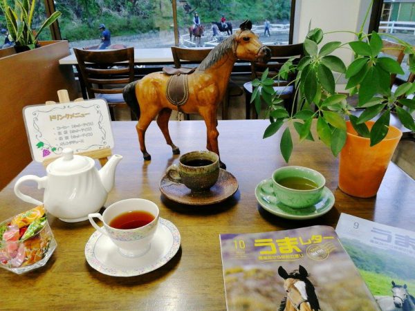 乗馬クラブ クレイン神奈川【憧れの乗馬体験】幻想的な冬景色が美しい