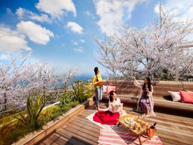 【リゾナーレ熱海】オーシャンビューのテラスでお花見する宿泊プラン「海と桜のプライベートお花見ステイ」が登場｜期間：2021年3月21日～4月5日