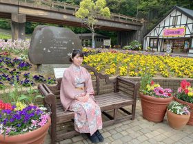 横須賀市　くりはま花の国