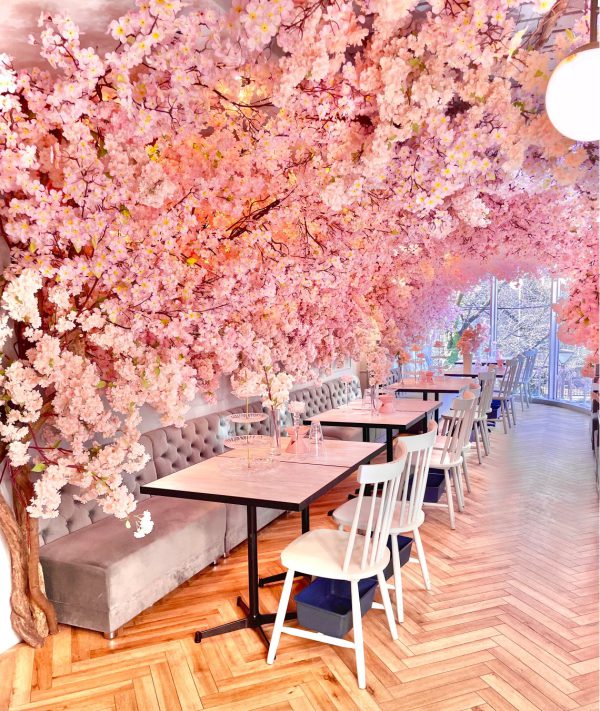 日本屈指のお花見の名所「中目黒」の目黒川沿いで、店内も窓の外の満開の桜を楽しめるHAUTE COUTURE CAFE（オートクチュールカフェ）