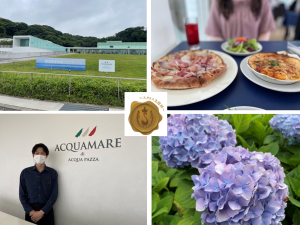 【梅雨を愉しもう特集】海を望む美術館併設レストラン「横須賀アクアマーレ」で過ごす極上のひととき　美味しいランチ＆色とりどりの紫陽花も鑑賞♡