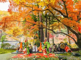 【星のや京都】美しく色づく樹齢400年のオオモミジの下で、雅楽器が奏でる幽玄の音色を楽しむ「星のや紅葉賀（もみじのが）」開催