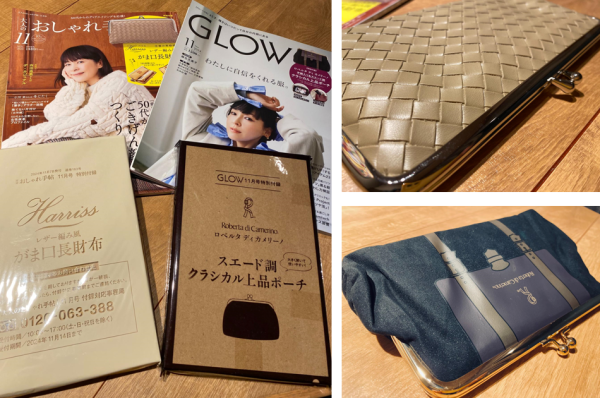 宝島社付録開封レビュー　 ロベルタ ディ カメリーノ 中綿入り＆スエード調 クラシカル上品ポーチ　GLOW　おとなのおしゃれ手帖　ボッテガベネタ風