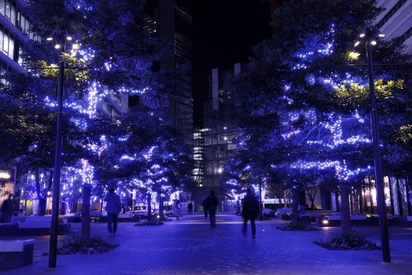 新品未開封 クリスマス イルミネーション ヘドラ 新品未開封 クリスマス イルミネーション ヘドラ 11/13(木)～2026/2/28