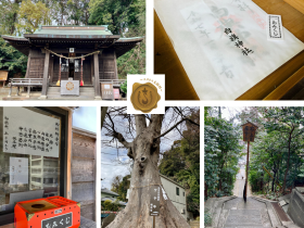 横浜市戸塚区平戸町の平戸白旗神社のホームページです 神社名　白旗神社（しらはた　じんじゃ） 鎮座地　横浜市戸塚区平戸町302番地 御祭神　源頼朝命（みなもと　よりとも　のみこと） 例祭日　9月18日（宵宮祭　9月17日） 御祭神：源頼朝命 源頼朝公 　鎌倉幕府の創立者。久安三年(1147）源義朝の三男として出生し、平治の乱の後に捕らえられて伊豆にながされた。 　1180年平氏追討の兵を挙げたが、石橋山の戦いに敗れ海路安房に逃れた。その後、房総、武蔵の武士を束ねて相模に入り、鎌倉に本拠を定めた。朝廷から正式に東国の支配権の許しを得、平氏を壇ノ浦に全滅させ、反幕府勢力を一掃して鎌倉幕府を成立させた。正治元年（1199）正月十三日、病のため逝去。御年五十三歳。平成十二年(1999) 源頼朝公没後八〇〇年の記念行事が鎌倉を中心に全国で行われた。 由緒 　当神社に隣接する東福寺に寺宝として一通の古文書が収納されています。その所蔵文書は明和六年(1769)の送り状で次のように書かれています。