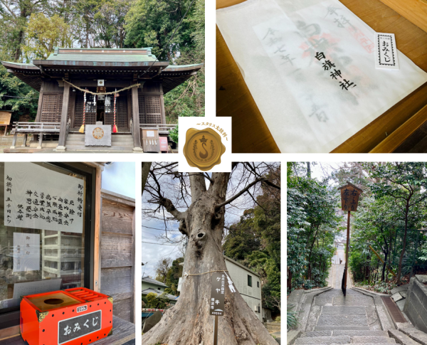 横浜市戸塚区平戸町の平戸白旗神社のホームページです 神社名　白旗神社（しらはた　じんじゃ） 鎮座地　横浜市戸塚区平戸町302番地 御祭神　源頼朝命（みなもと　よりとも　のみこと） 例祭日　9月18日（宵宮祭　9月17日） 御祭神：源頼朝命 源頼朝公 　鎌倉幕府の創立者。久安三年(1147）源義朝の三男として出生し、平治の乱の後に捕らえられて伊豆にながされた。 　1180年平氏追討の兵を挙げたが、石橋山の戦いに敗れ海路安房に逃れた。その後、房総、武蔵の武士を束ねて相模に入り、鎌倉に本拠を定めた。朝廷から正式に東国の支配権の許しを得、平氏を壇ノ浦に全滅させ、反幕府勢力を一掃して鎌倉幕府を成立させた。正治元年（1199）正月十三日、病のため逝去。御年五十三歳。平成十二年(1999) 源頼朝公没後八〇〇年の記念行事が鎌倉を中心に全国で行われた。 由緒 　当神社に隣接する東福寺に寺宝として一通の古文書が収納されています。その所蔵文書は明和六年(1769)の送り状で次のように書かれています。