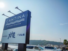 逗子海岸を一望できる「大戸屋ごはん処 逗子店」が8月7日(木)にNEW OPEN! 創業からの変わらぬ想いと美味しさをお届けします。 株式会社大戸屋 2025年8月7日 11時00分 14 株式会社大戸屋(本社:神奈川県横浜市 代表:蔵人賢樹、以下大戸屋)は、2025年8月7日(木)、逗子市に『大戸屋ごはん処 逗子店』を新規オープンします。