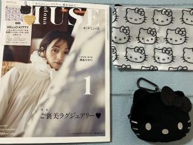 オトナミューズ１月号付録　HELLO KITTY [ハローキティ] ふわふわフェイス＆ リップストップポーチの2個セット サイズ（約） 【フェイスポーチ】縦10×横13cm［最大］ 【リップストップポーチ】縦13.5×横19.5cm