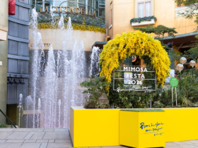 ミモザフェスタ