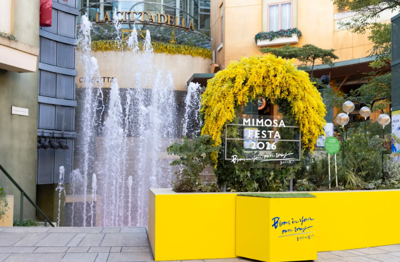 ミモザフェスタ