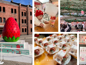 ＜イベントレポート＞『Yokohama Strawberry Festival 2026』横浜赤レンガ倉庫にて3月1日（日）まで開催中！巨大ないちごオブジェとともに、過去最多のべ46店舗が集結！ 「いちご味わいチャート」が活躍するご当地いちごの無料サンプリング・直売、いちごの種類から選び自分好みにカスタマイズするクレープなど「いちご好きには夢の空間」スタンプラリーや、ワークショップも実施！ 株式会社横浜赤レンガ 2026年2月6日 14時00分 44件のいいね！がされています 　横浜赤レンガ倉庫では、2026年2月5日（木）から3月1日（日）までの計25日間、横浜赤レンガ倉庫イベント広場にて『Yokohama Strawberry Festival 2026』を開催しています。 オープン初日、ご来場いただいた皆様からは「ここまでいちご尽くしなイベントはほかになく、フォトスポットも充実していて、いちご好きにとって夢のような空間」などとご好評いただきました。 会場の様子／展開メニュー一例 ＜主な見どころ＞ 　今年で13回目の開催を迎える本イベントは、昨年の会期中には約58万人(※1)の方が横浜赤レンガ倉庫へお越しいただくなど2013年の初開催以来、“いちご”の新しい楽しみ方を伝えるイベントとして多くの方に親まれてきました。 ※1 横浜赤レンガ倉庫1・2号館来館者数より算出 　今回のイベントテーマは「いちごトリップ」ということで、日本各地から集まるご当地いちごを通じて地域の魅力に触れたり、いちごスイーツやグッズにときめき癒されたり、いちごをきっかけに横浜エリアを散策したりと、様々ないちごをめぐる“いちごの旅”をお楽しみいただけます。会場には過去最多となるのべ46店舗が並び、最新から定番までバリエーション豊かないちごスイーツが勢揃いするほか、ご当地の生いちごやスイーツＷ杯優勝パティシエのスイーツも日にち限定で登場します。さらに、味わうだけではない、いちごにまつわるワークショップや、本イベントと連動して期間中に様々ないちごメニューを展開する近隣施設を巡るスタンプラリーなど、様々な角度からいちごを堪能いただけます。 ■今年の目玉コンテンツ！いちごの種類からトッピングまでカスタマイズできる「旅するいちごのクレープリー」 　自分好みにカスタマイズした特別なクレープを食べることができる体験型ブース「旅するいちごのクレープリー」が今年初登場しています。本イベントオリジナルのキュートなオーダーシートに注文を手書きでチェックしていただくことで、まるでメニューを作っているような気分もお楽しみいただけます。メインとなるいちごを、日替わりで厳選した4種類以上の産地・品種から選び、トッピングとしてクリーム・ソース・アイス・ケーキ等を選べば、自分好みのクレープが完成！ 　いちご生産量全国トップクラスの都道府県が参加する「全国いちご会議」の県産いちごも数量限定で登場します。気になるいちごがあれば個数を追加して食べ比べるのもおすすめです。オーダーいただいたお客様からは、「トッピングだけではなくいちごも選べるのが嬉しい。3種類のいちごを同時に楽しめるので、品種の違いも味わうことができた」「オーダーする人によって、全体の色味など見た目がまったく違うクレープが出来上がったのが驚き」などとお楽しみいただきました。自分好みにカスタマイズするワクワク感をご体験ください。 カスタマイズの様子 完成したクレープ 店舗の様子 ■あなたもいちごマスターに？食感×味わいの2軸で整理した最新版「いちご味わいチャート2026」 　日本野菜ソムリエ協会の「いちごソムリエ」監修のもと、日本各地の多彩ないちごを“食感”と“味わい”の2軸で整理し、その個性がひと目で分かるチャートを会場内に掲出します。地域ごとに表情の異なるいちごの特徴を知りながら、日本全国をめぐる“いちごトリップ”気分を味わえるコンテンツとしてお楽しみいただけます。 　ブランドいちご直売ブースからは、「全国各地のいちごを一度に比較できる貴重な機会なので、日本にあると言われる300品種以上の中から是非自分のお気に入りのブランドいちごを見つけていただきたい」などのコメントをいただきました。 いちご